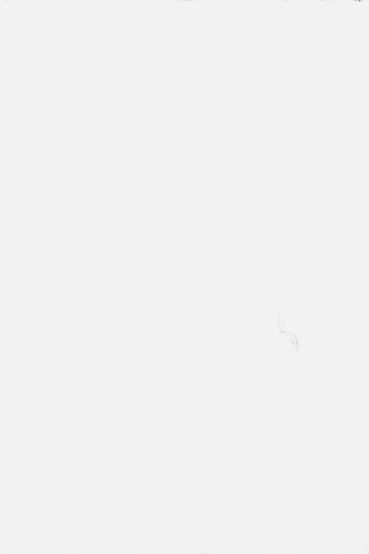 gael 8267 - nn07 - 510061287 - vestes - nouveau.