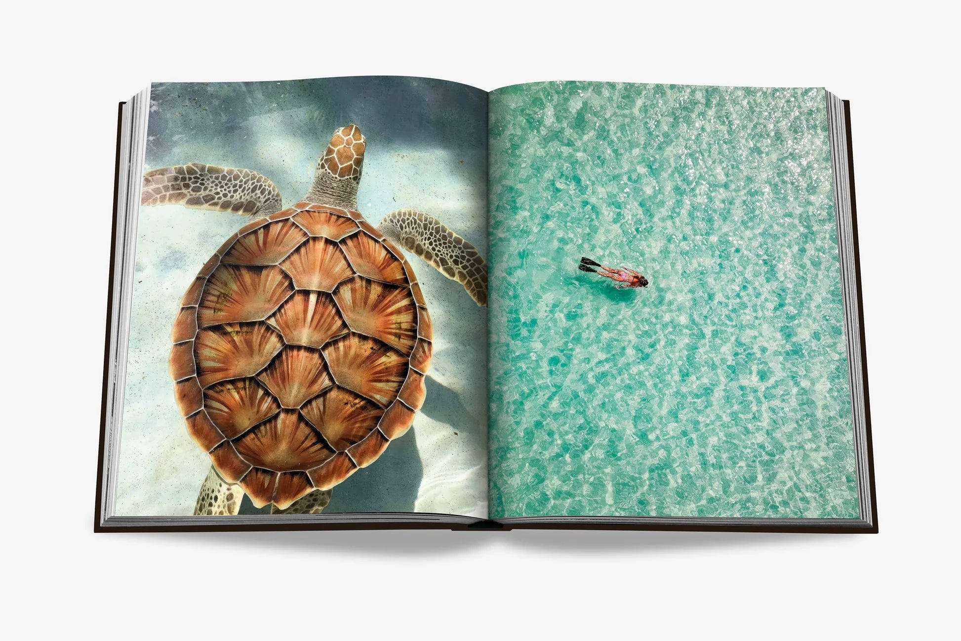 livre jamaica vibes - assouline - 510037800 - accessoires - livres - nouveau.