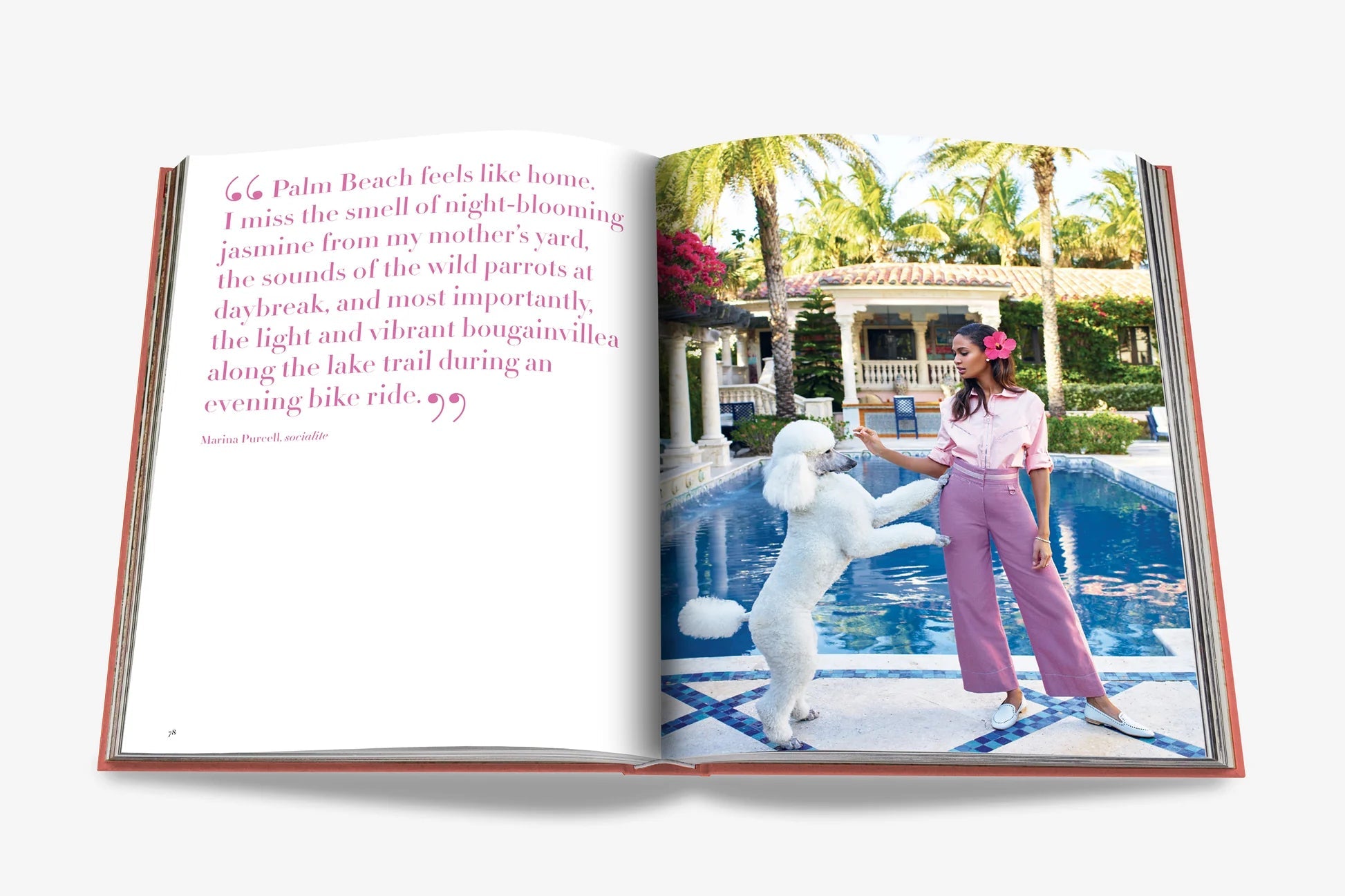 livre palm beach - assouline - 510037824 - accessoires - livres - nouveau.