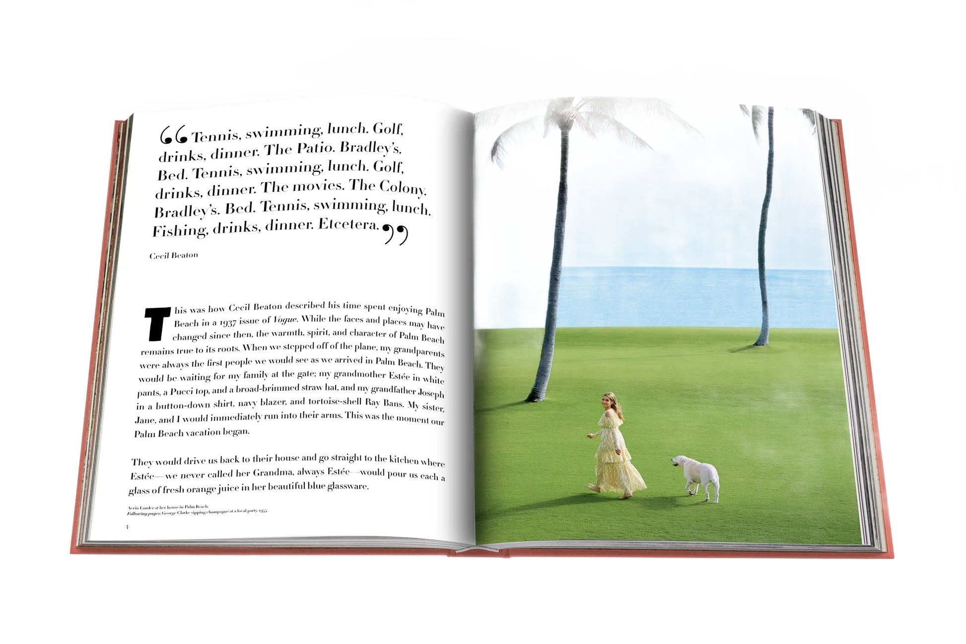 livre palm beach - assouline - 510037824 - accessoires - livres - nouveau.
