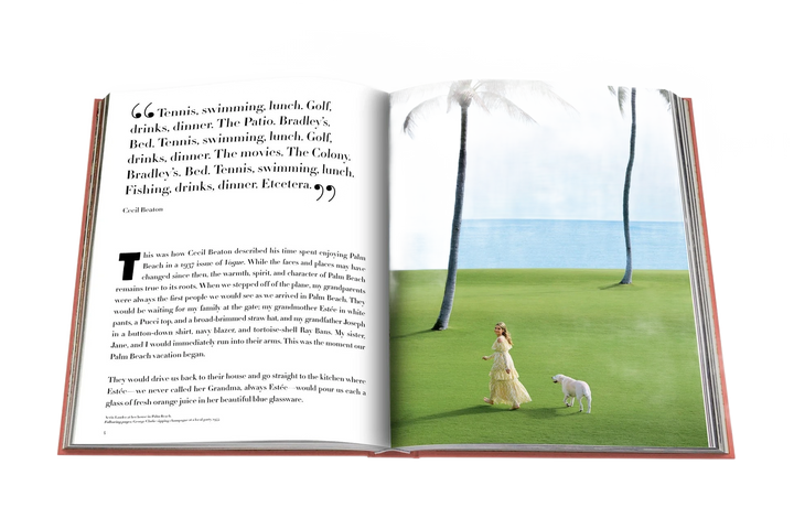 livre palm beach - assouline - 510037824 - accessoires - livres - nouveau.