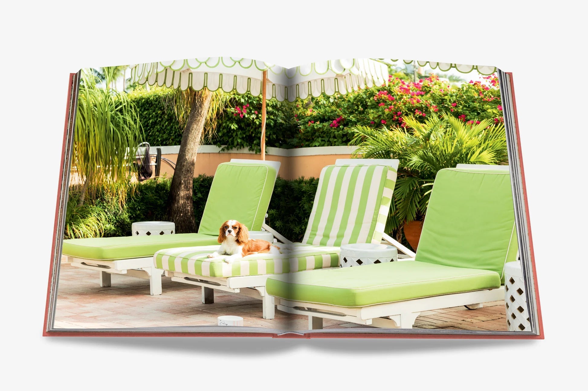 livre palm beach - assouline - 510037824 - accessoires - livres - nouveau.