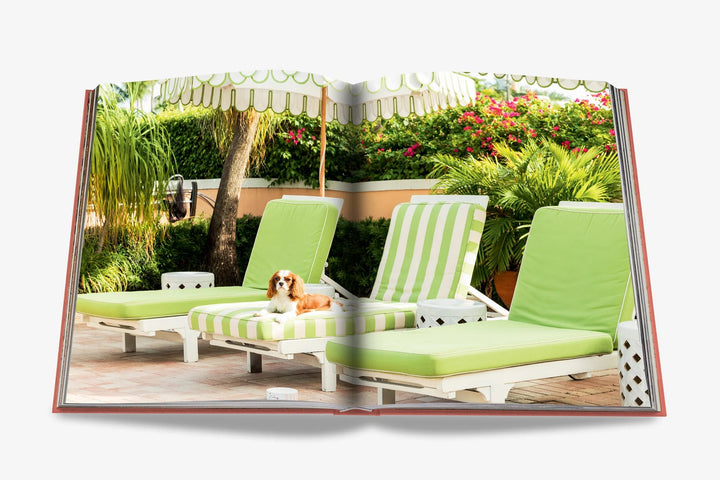 livre palm beach - assouline - 510037824 - accessoires - livres - nouveau.