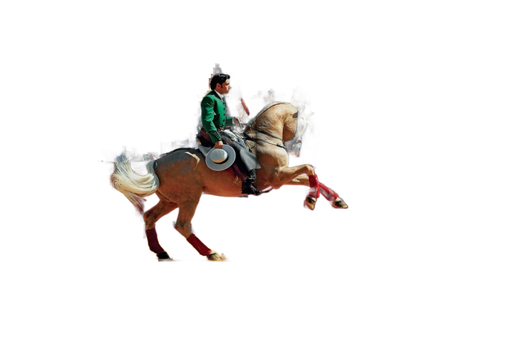 livre sevilla arte - assouline - 510037794 - accessoires - livres - nouveau.