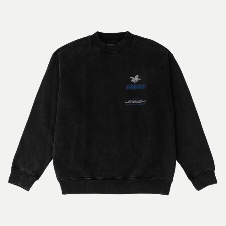 Pegasus series fadeout crewneck - goodies sportive - 510068934 - sweat - Nouveau. men