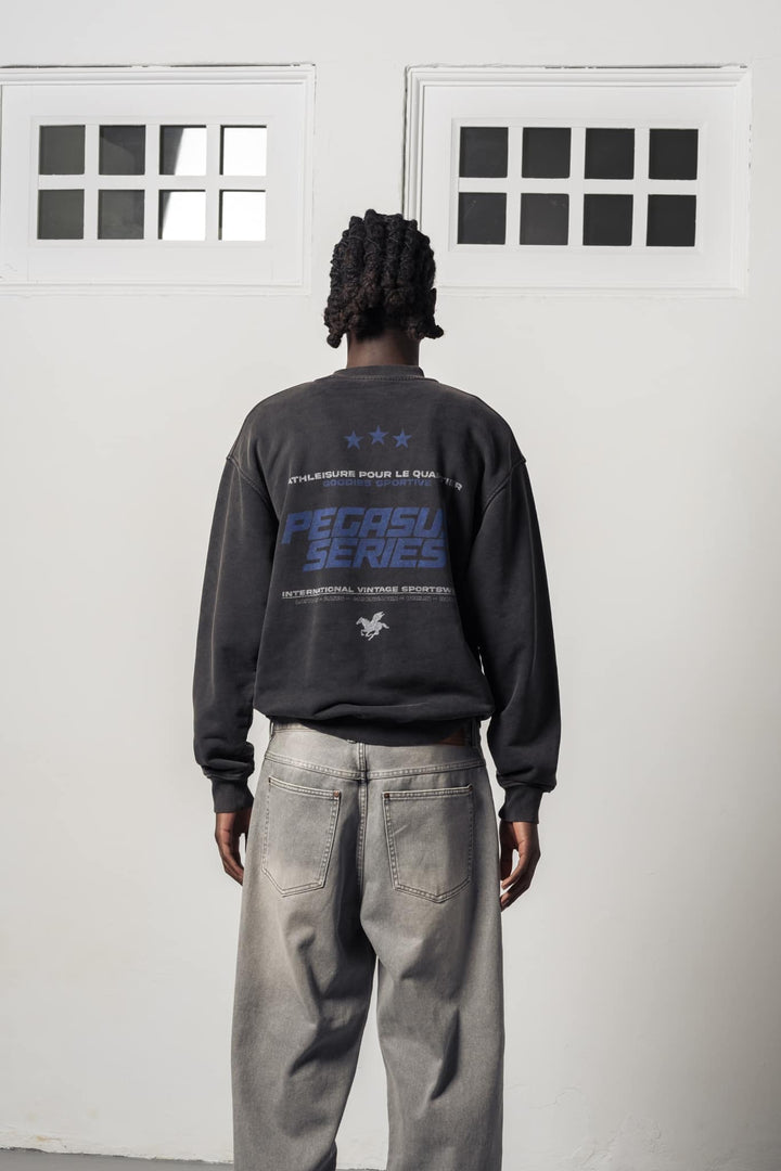 Pegasus series fadeout crewneck - goodies sportive - 510068934 - sweat - Nouveau. men
