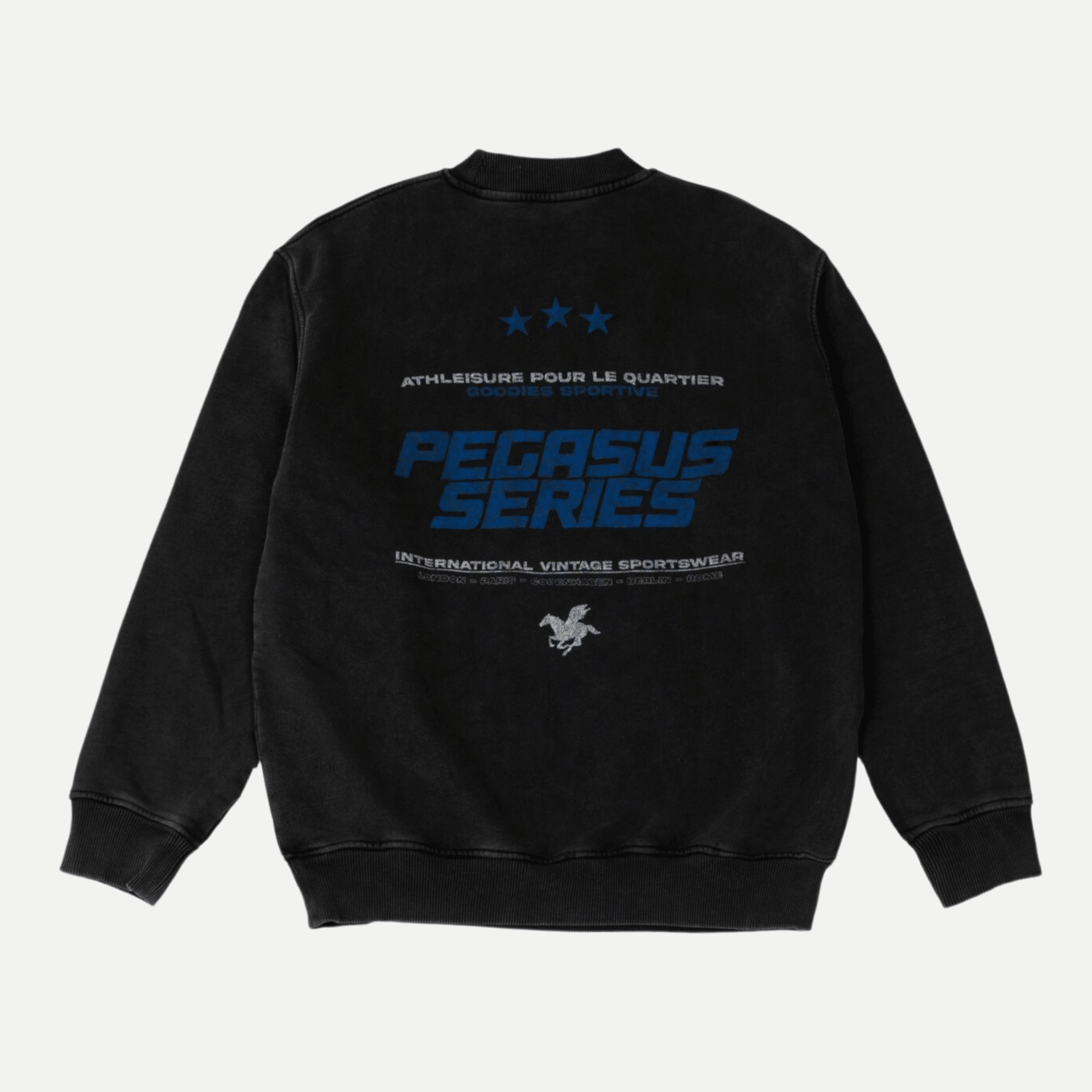 Pegasus series fadeout crewneck - goodies sportive - 510068934 - sweat - Nouveau. men