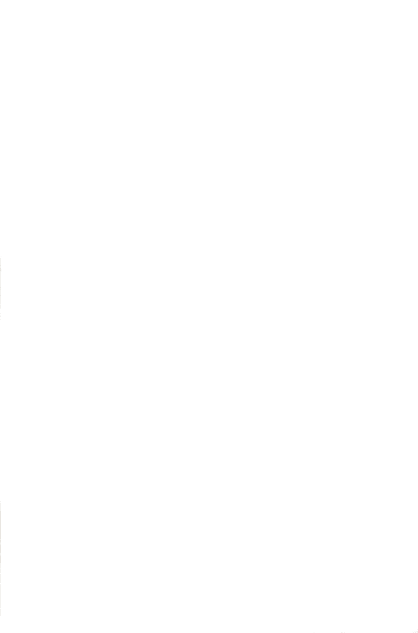 scarf two 9006 - nn07 - 510061546 - echarpes - nouveau.